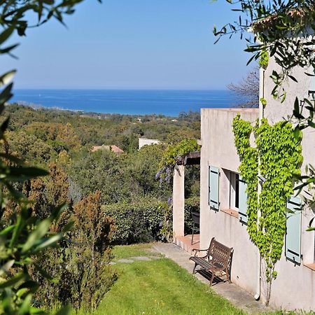 Domaine Punta Della Guardia Villa Vue Mer Dans Nature Protegee, Plage A 1,5 Km Cervione Bagian luar foto