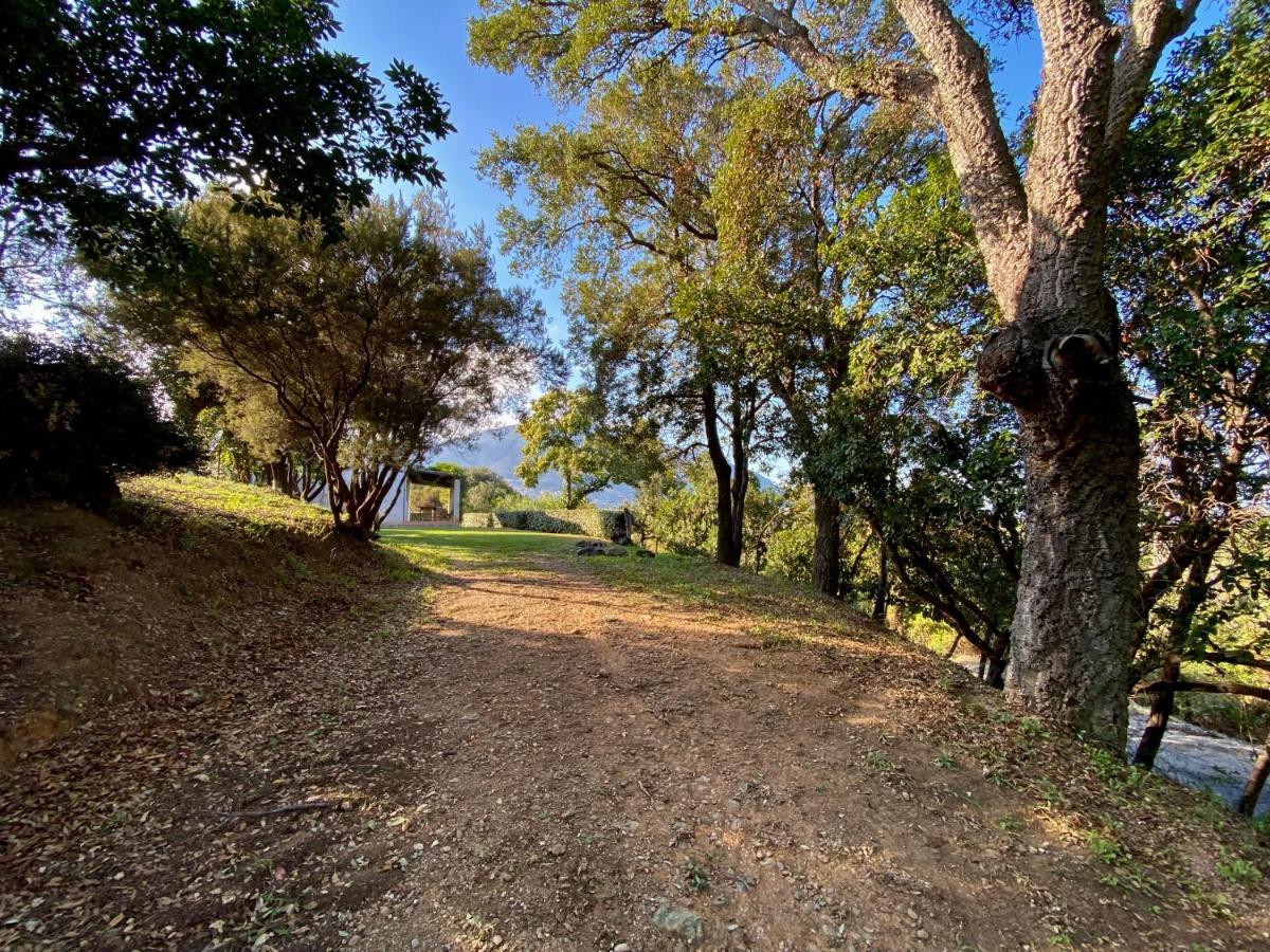 Domaine Punta Della Guardia Villa Vue Mer Dans Nature Protegee, Plage A 1,5 Km Cervione Bagian luar foto