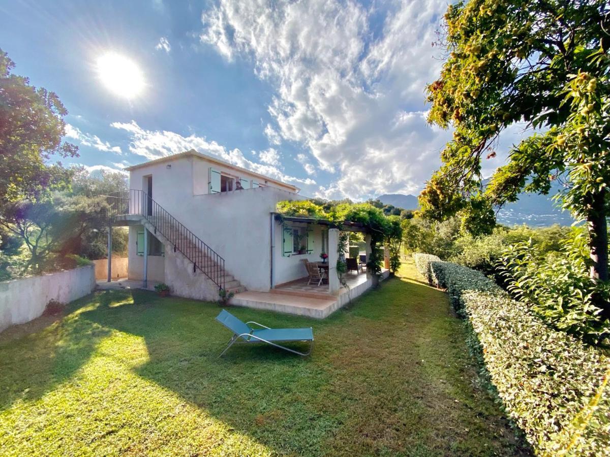 Domaine Punta Della Guardia Villa Vue Mer Dans Nature Protegee, Plage A 1,5 Km Cervione Bagian luar foto