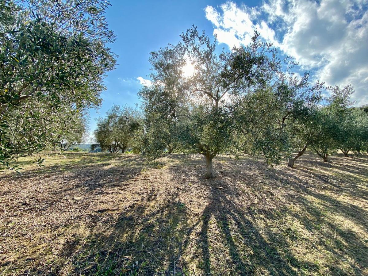 Domaine Punta Della Guardia Villa Vue Mer Dans Nature Protegee, Plage A 1,5 Km Cervione Bagian luar foto